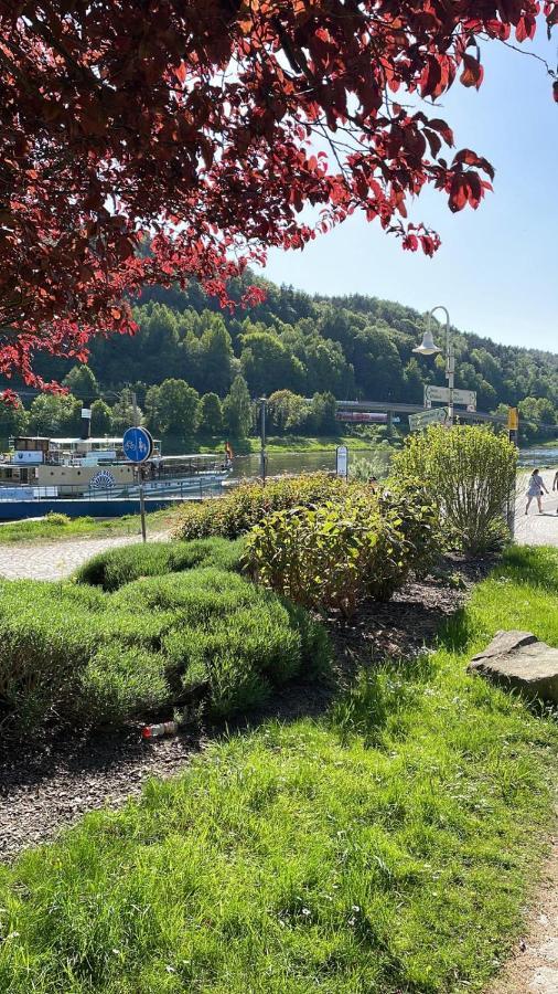 Villa Falkenstein Bad Schandau Exterior foto